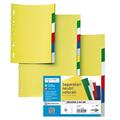 Intercalare neutro ppl 6 tacche color