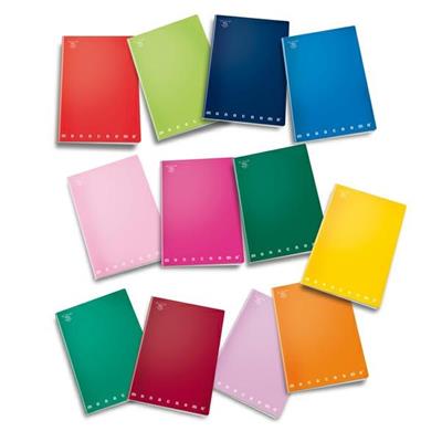 Quaderno maxi monocromo pigna a4 40+R 5mm