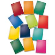 Quaderno maxi one color quadri