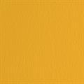 BLISTER 10FG CARTONCINO 70X100 220GR AVANA 103 FABRIANO ELLE ERR