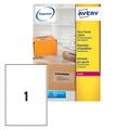 Poliestere adesivo L7567 trasparente 25fg A4 210x297mm (1et/fg)
