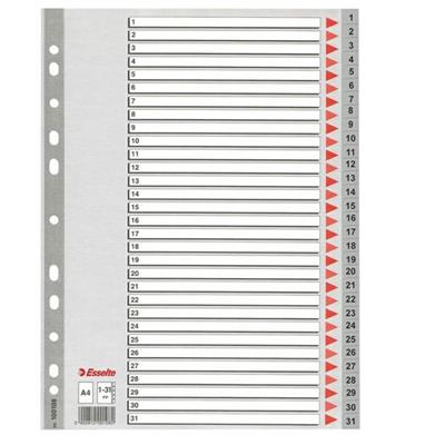 Separatore in PPL grigio numerico 1-31 f.to A4 ESSELTE