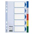 Intercalare neutro ppl a5 6 tacche color