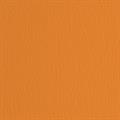 BLISTER 10FG CARTONCINO 70X100 220GR ARANCIO 108 FABRIANO ELLE E