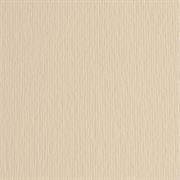 BLISTER 20FG CARTONCINO 50X70 220GR PANNA 101 FABRIANO ELLE ERRE