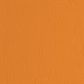 BLISTER 20FG CARTONCINO 50X70 220GR ARANCIO 108 FABRIANO ELLE ER