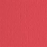 BLISTER 20FG CARTONCINO 50X70 220GR ROSSO 109 FABRIANO ELLE ERRE