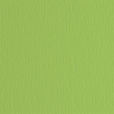 BLISTER 20FG CARTONCINO 50X70 220GR VERDE PISELLO 110 FABRIANO E