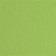 BLISTER 20FG CARTONCINO 50X70 220GR VERDE PISELLO 110 FABRIANO E