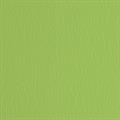 BLISTER 20FG CARTONCINO 50X70 220GR VERDE PISELLO 110 FABRIANO E