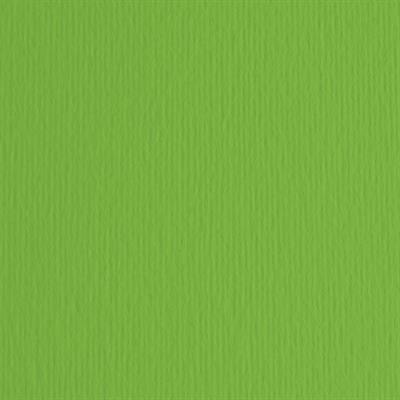 BLISTER 20FG CARTONCINO 50X70 220GR VERDE 111 FABRIANO ELLE ERRE
