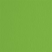 BLISTER 20FG CARTONCINO 50X70 220GR VERDE 111 FABRIANO ELLE ERRE