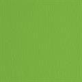 BLISTER 20FG CARTONCINO 50X70 220GR VERDE 111 FABRIANO ELLE ERRE
