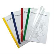 10 cartelline Poli 200 210x297mm PP trasparente dorso verde Sei