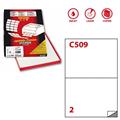 Etichetta laser/ink a4 210x148 2xfg adesivo EXTRAFORTE x210c509s
