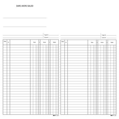 Rg d/a/s dare avere saldo 24x17 e2689 100pg