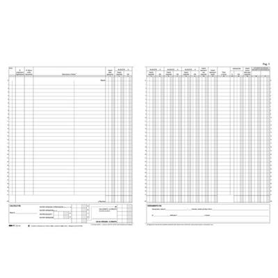 Rg iva fatture emesse e2133 22pg