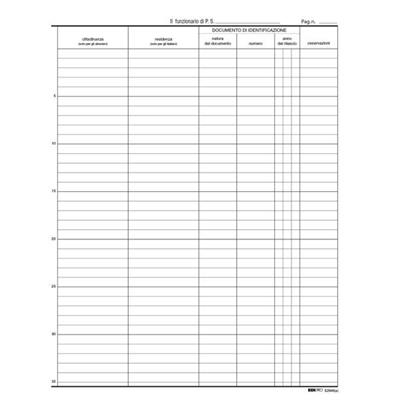 Rg persone alloggiate e2846 100pg