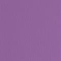 BLISTER 10FG CARTONCINO 70X100 220GR VIOLA 104 FABRIANO ELLE ERR