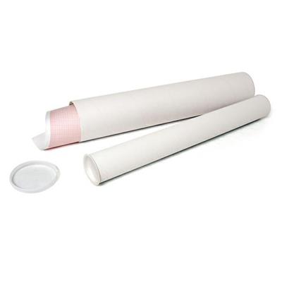 TUBO PORTADISEGNI IN CARTONE 54CM Ã˜ 6CM ART.841/50 CWR