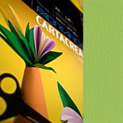 Blister 10fg cartoncino 35x50cm 220gr verde pisello Cartacrea Fa