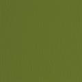 BLISTER 10FG CARTONCINO 70X100 220GR VERDONE 128 FABRIANO ELLE E
