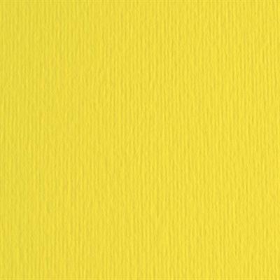 BLISTER 10FG CARTONCINO 70X100 220GR CEDRO 125 FABRIANO ELLE ERR