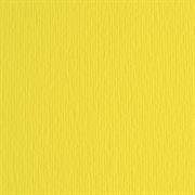BLISTER 10FG CARTONCINO 70X100 220GR CEDRO 125 FABRIANO ELLE ERR