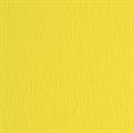 BLISTER 10FG CARTONCINO 70X100 220GR CEDRO 125 FABRIANO ELLE ERR