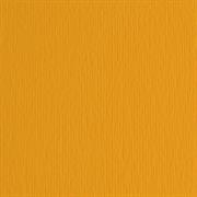 BLISTER 10FG CARTONCINO 70X100 220GR ARAGOSTA 126 FABRIANO ELLE