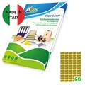 Etichetta adesiva GL4 ovale oro satinata 100fg A4 36x21mm (60et/
