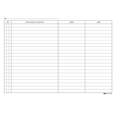 100 SCHEDE PER MEDICI GENERICI 17X24CM VERDE E3530 EDIPRO