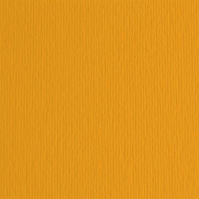 BLISTER 20FG CARTONCINO 50X70 220GR ARAGOSTA 26 FABRIANO ELLE ER