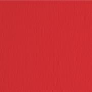 BLISTER 20FG CARTONCINO 50X70 220GR CILIEGIA 27 FABRIANO ELLE ER