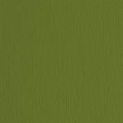 BLISTER 20FG CARTONCINO 50X70 220GR VERDONE 28 FABRIANO ELLE ERR