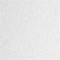 BLISTER 20FG CARTONCINO 50X70 220GR BRINA 29 FABRIANO ELLE ERRE