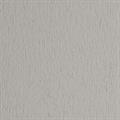 BLISTER 20FG CARTONCINO 50X70 220GR CHINA 30 FABRIANO ELLE ERRE
