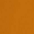 BLISTER 10FG CARTONCINO 70X100 220GR TERRA BRUCIATA 119 FABRIANO