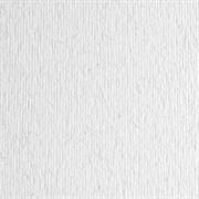 BLISTER 10FG CARTONCINO 70X100 220GR BRINA 129 FABRIANO ELLE ERR