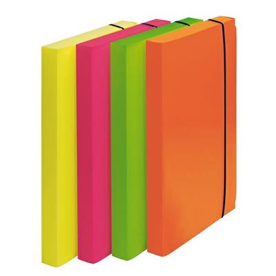Cartella progetto d.so 3cm 24x35cm co. Fluo Fellowes conf.4