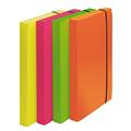 Cartella progetto d.so 3cm 24x35cm co. Fluo Fellowes conf.4