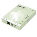 CARTA MAESTRO COLOR A4 210x297mm 160gr 250fg VERDE TENUE GN27 MO