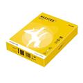 CARTA MAESTRO COLOR A4 210x297mm 80gr 500fg GIALLO FORTE IG50 MO