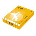 CARTA MAESTRO COLOR A4 210x297mm 160gr 250fg GIALLO FORTE IG50 M