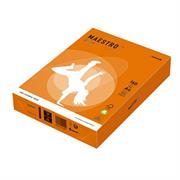 CARTA MAESTRO COLOR A4 210x297mm 160gr 250fg ARANCIO FORTE OR43