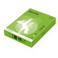 CARTA MAESTRO COLOR A4 210x297mm 160gr 250fg VERDE FORTE MA42 MO