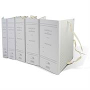 Cartella archivio con lacci dorso 15cm