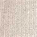 BLISTER 10FG CARTONCINO 70X100 220GR AVORIO 101 FABRIANO ELLE ER