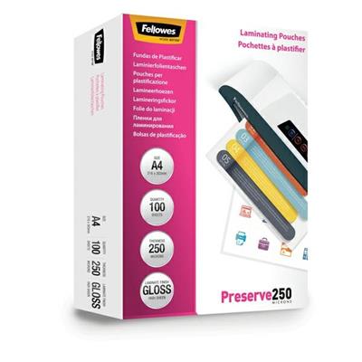 Pouches PRESERVE250 250mic A4 Fellowes