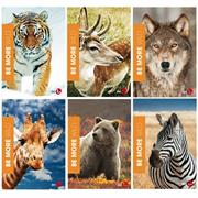 Maxiquaderno A4 36fg+2 100gr 4mm WILD Be More Special 2019 BM